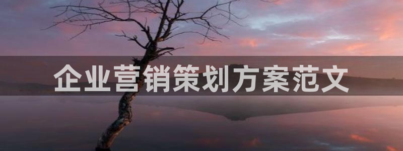 必赢官网app下载苹果