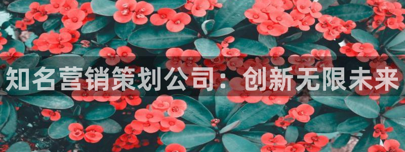 必赢网站