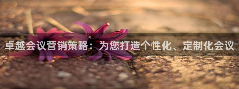 必赢下载软件