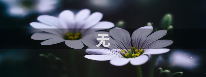 必赢下载