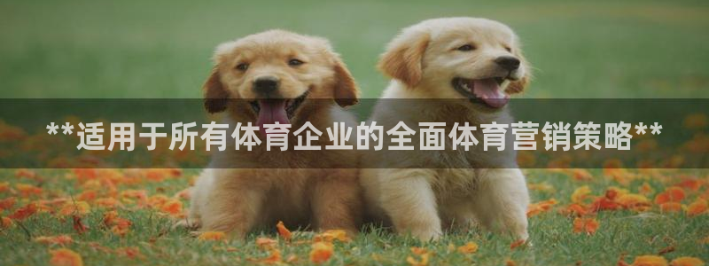 必赢官网app下载安装手机版最新版