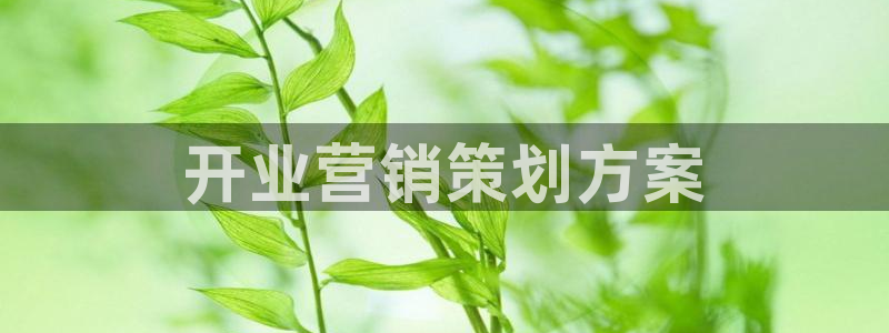 必赢手机app下载安装官网