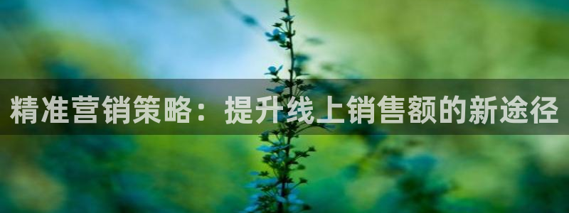 必赢网站