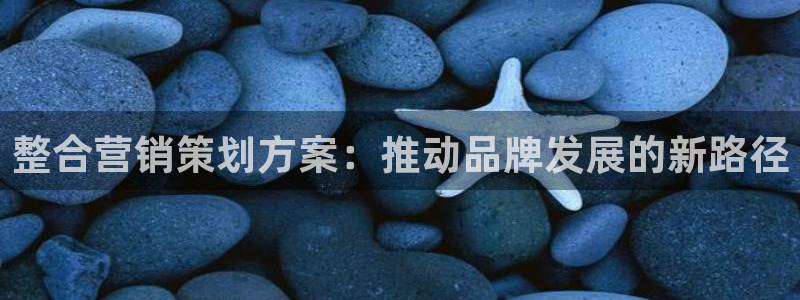 必赢棋盘9965.0版本