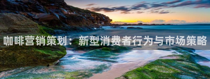 必赢棋盘官网版