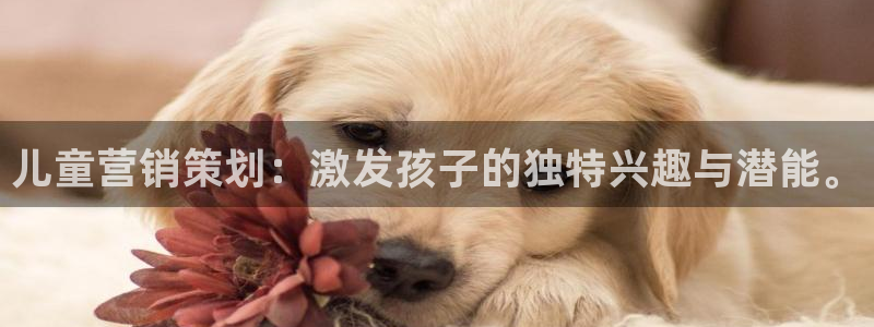 必赢官网app下载安装最新版