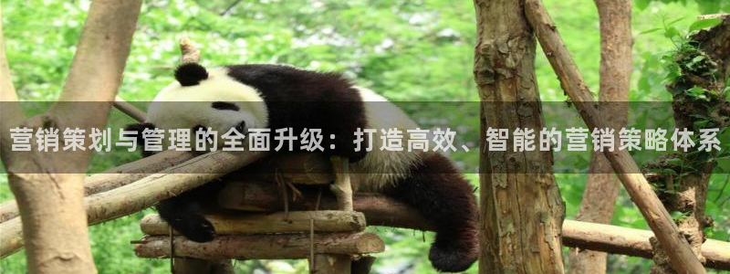 数30技巧必赢三个数