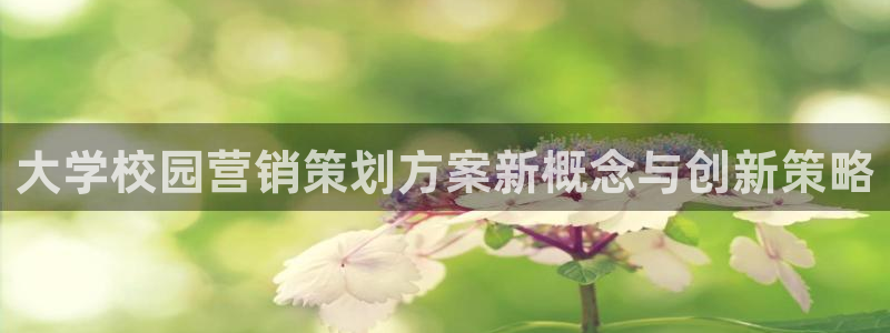必赢集团菲律宾