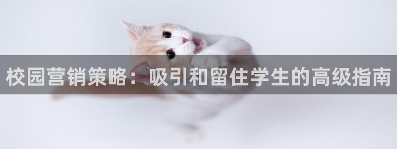 必赢网址手机主页怎么设置