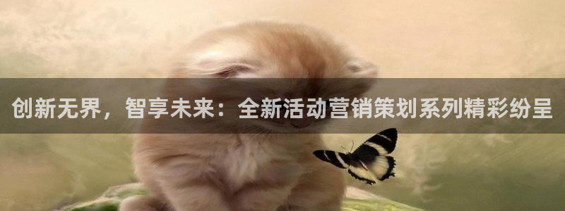 必赢科技中国有限公司