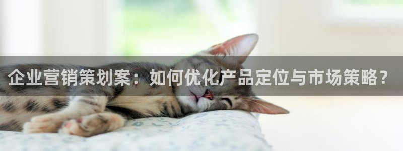 必赢客官方