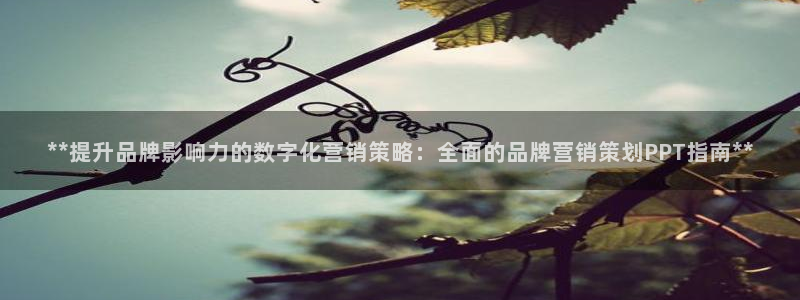 必赢官网