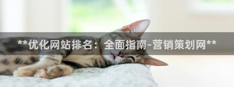 9965必赢游戏特色