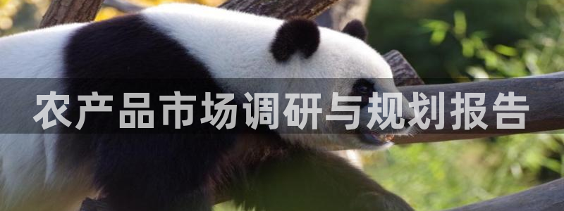 必赢net.95