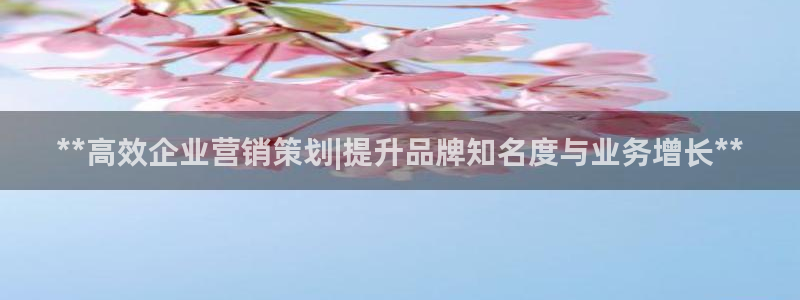 必赢公司