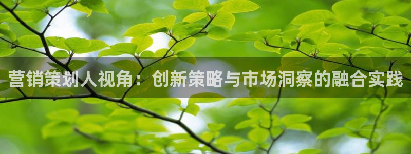 必赢集团网站改成多少