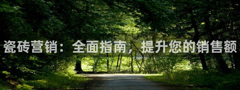 必赢手机版官网