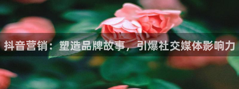 必赢官网app下载安装苹果