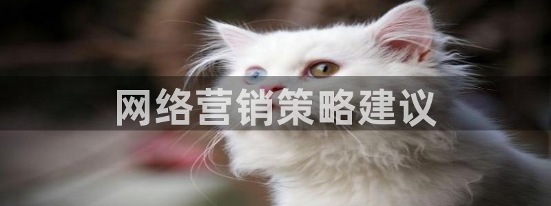 必赢官网入口下载
