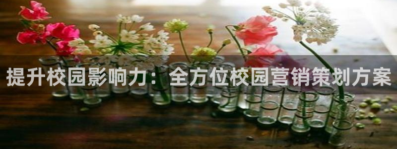必赢766
