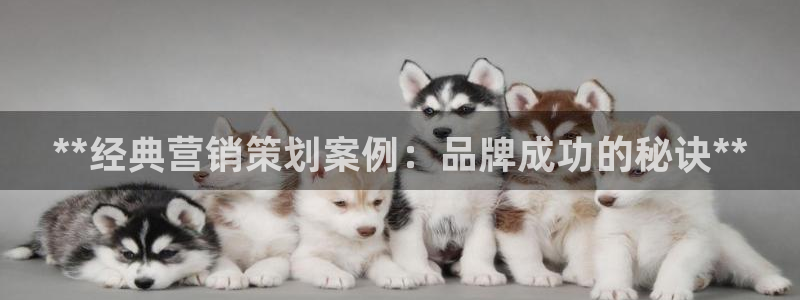 必赢官网app下载安装最新版