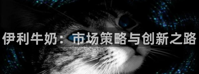 必赢手机app下载 最新版安装