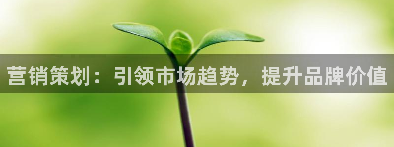 必赢.apk