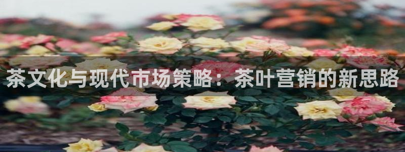 必赢网址手机主页在哪