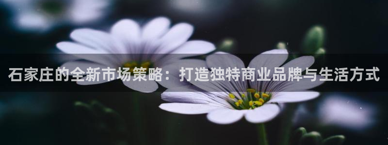 必赢棋脾