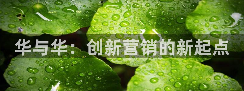 数30技巧必赢三个数