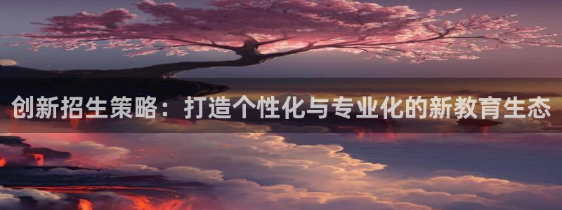 必赢平台网