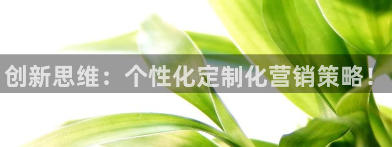 必赢官网app下载苹果版