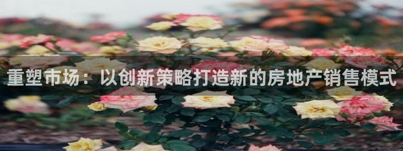 必赢下载地址