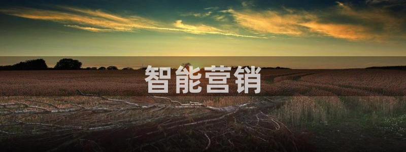 必赢公司