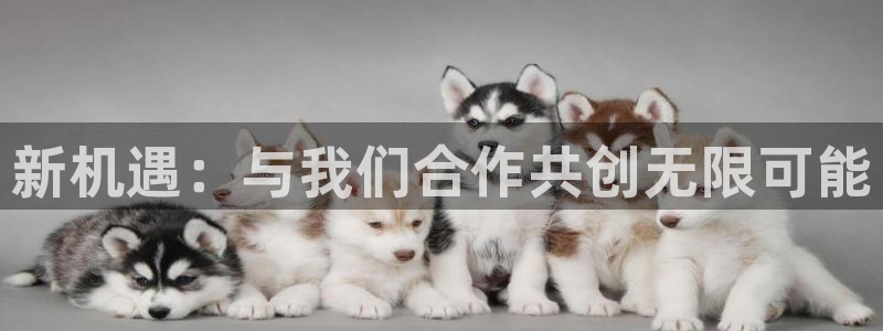 必赢国际是什么