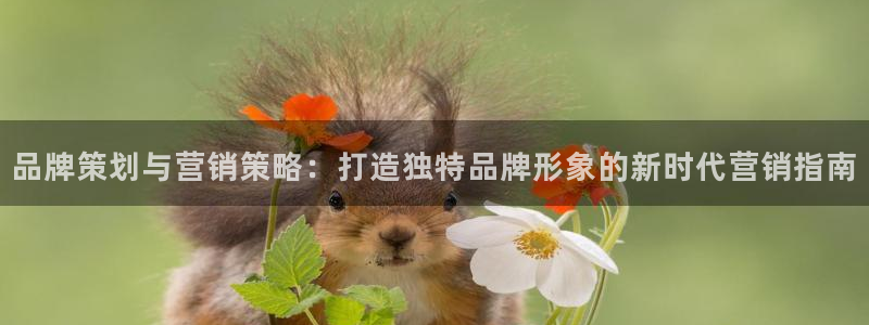 必赢平台怎么样可靠吗