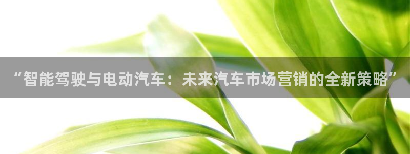 必赢网站进去