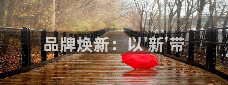 必赢棋盘官网版