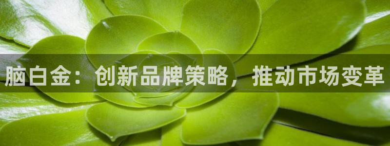 必赢宝app软件下载
