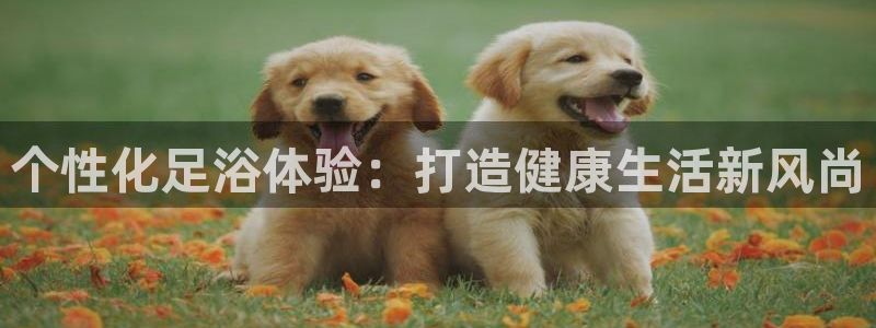 必赢网址手机主页在哪