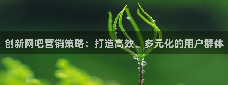 必赢科技有限公司