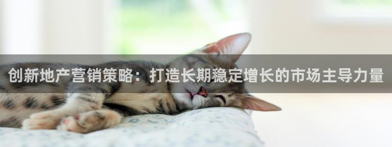 必赢亚赢网站官网下载手机版安卓