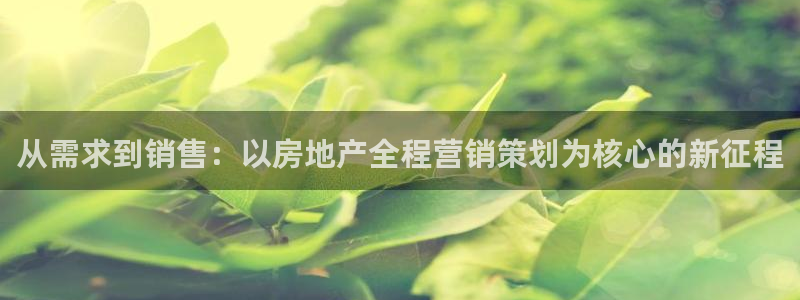 必赢国际是什么