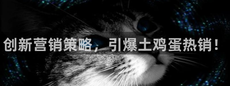 必赢线上网址