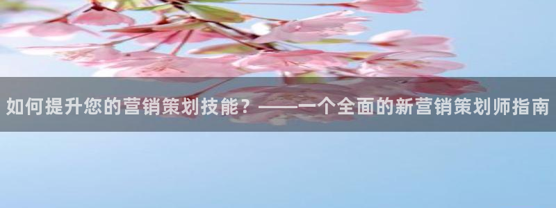 必赢集团怎么样