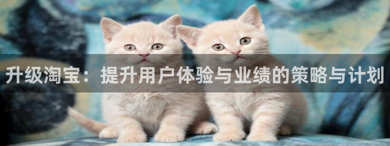 必赢最新