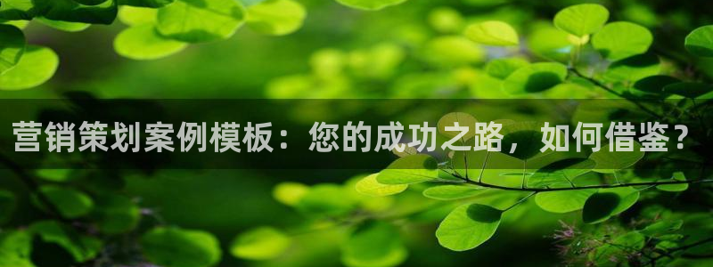 必赢棋脾：营销策划案例模板：您