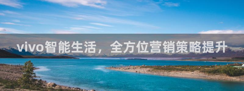 必赢平台官方网站登录：vivo