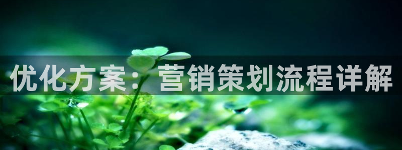 必赢国际437官网版：优化方案