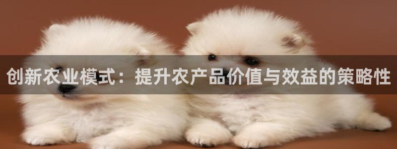 必赢手机app下载安装最新版
